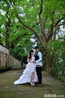 光影之间 《LOVE·LIFE》——捕捉生活中的每一道闪耀瞬间
